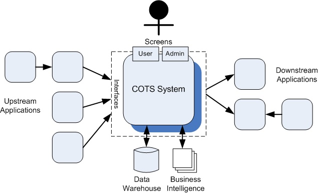 Testing COTS Systems - A Black Box in the Application Ecosystem
